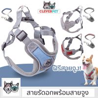 DOG สายรัดอกสุนัข [พร้อมส่ง] BORORO สายรัดอก ระบายความร้อน สายรัดสุนัข สำหรับสุนัขและแมว สายจูงสุนัข Dog Harness Cleverpet