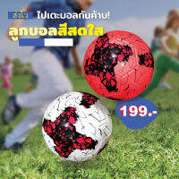 ลูกบอลสีสดใส Colorful Balls