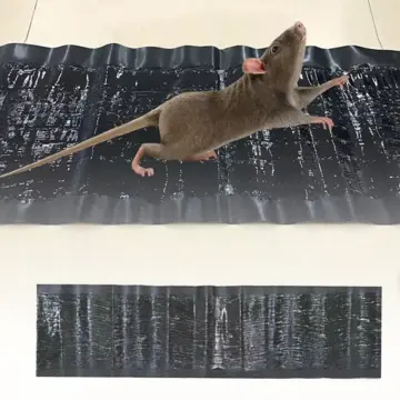 3pcs, Sticky Mouse Trap Mouse Glue Traps Sticky Rat Trap That Work