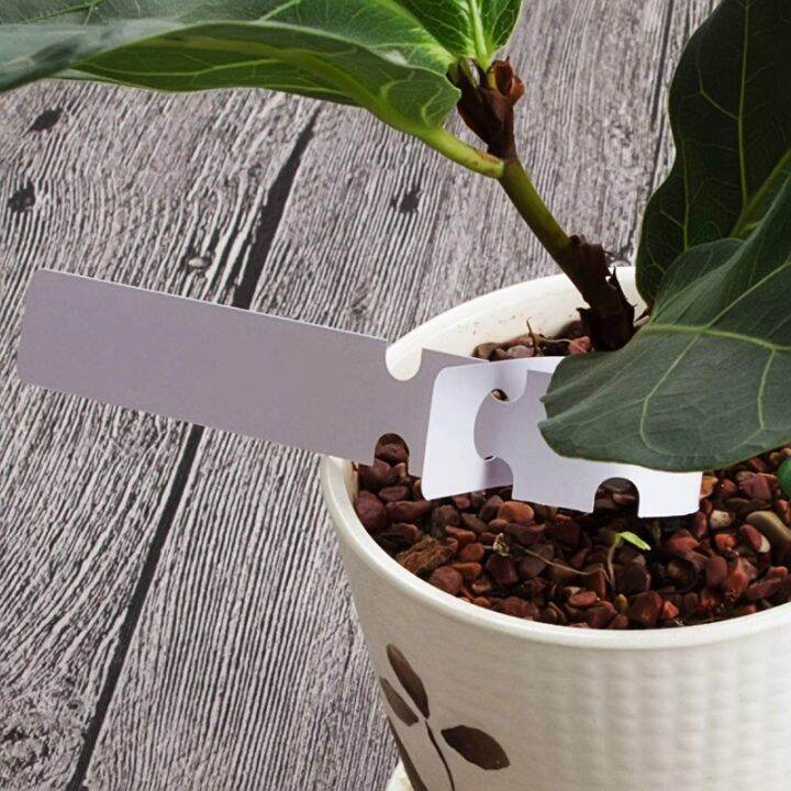 1000pcs-8-inch-wrap-around-plant-tags-outdoor-waterproof-hanging-gardening-labels-2x21cm-white-plastic-plant-tree-tags-nursery-garden-plant-lables