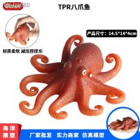 ? ของขวัญ เด็กจำลองสัตว์ทะเลยางนุ่ม octopus ปลาหมึกหยิกหยิกเพลงบีบอัด vent ของเล่นเพื่อการศึกษา