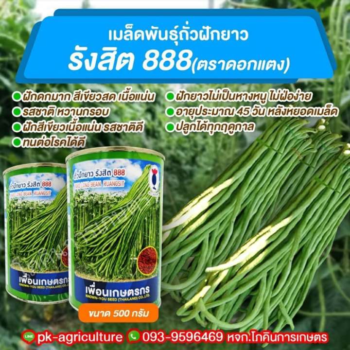 เมล็ดพันธุ์ถั่วฝักยาวรังสิต-888-ขนาด-500-กรัม