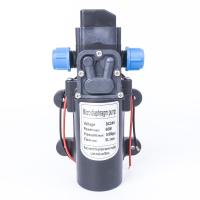 DC 24V 60W 130PSI 5L Min Agricultural Electric Automatic Switch Water Pump Micro High Pressure Diaphragm Water Sprayer