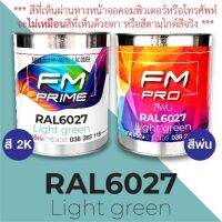 สี RAL6027 Light green