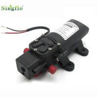 【✆New✆】 yunchouhu626259 ปั๊มน้ำแรงดัน Flo-2202a Singflo 12V 70psi 4l/นาที