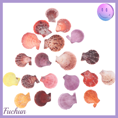 Fuchun เครื่องประดับตกแต่งเปลือกหอยธรรมชาติสีสันสดใสจำนวน20ชิ้น,ของประดับตกแต่งงานฝีมือต่างหูรูปหอยเชลล์