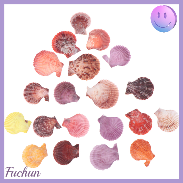 fuchun-เครื่องประดับตกแต่งเปลือกหอยธรรมชาติสีสันสดใสจำนวน20ชิ้น-ของประดับตกแต่งงานฝีมือต่างหูรูปหอยเชลล์