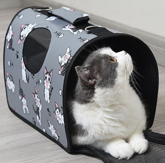 Lazada clearance cat carrier