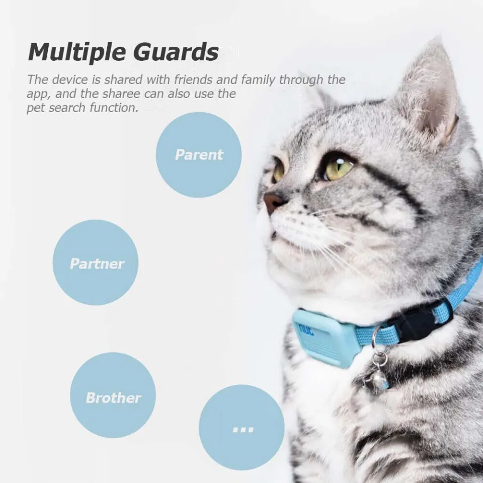 Bluetooth hotsell cat collar