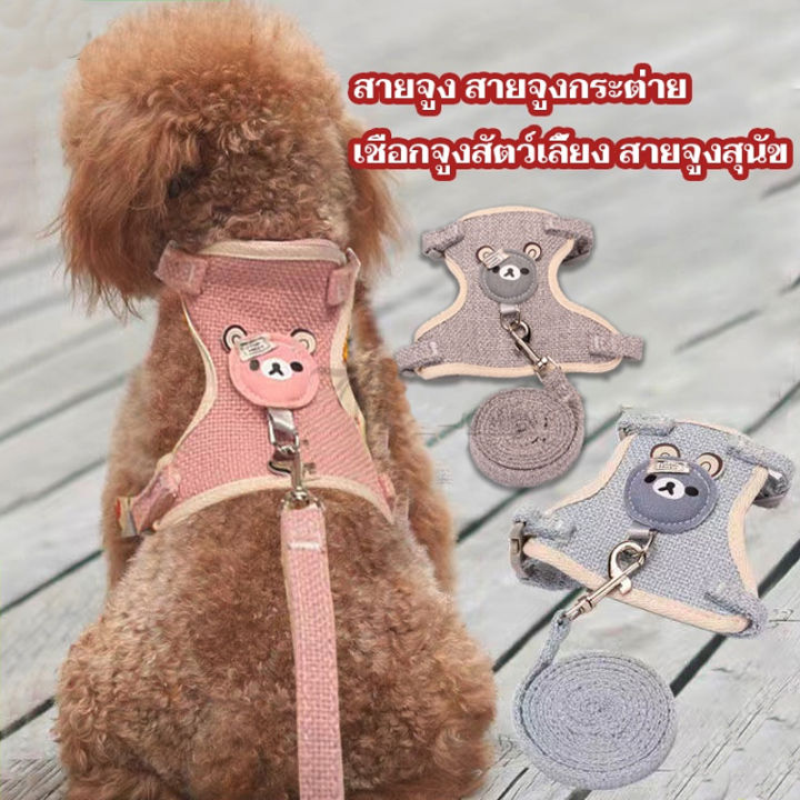 bhq-pet-1-5เมตร-สายจูงสัตว์เลี้ยง-สายจูงสุนัข-แมว-สายจูงแมว-สายจูง-สายจุงแมว-สายจูงแมวรัดอก-สายรัดอกสุนัข-สายจูงกระต่าย