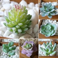 Artificial Mini Green Succulent Plants Fake Simulation Bonsai With Pots Decorative Mini Plants Desktop Ornaments Decor For Home