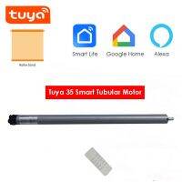 Tuya GM35EQ 10N Motor Tubular Gulung Wifi Pintar Remote Control Rf433 Kontrol Suara Oleh Alexa/Google Home untuk Tabung Dia 45/47/50Mm