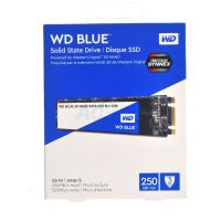 179.M.2 2280 SSD WD 250GB BLUE