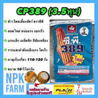 ข้าวโพดเลี้ยงสัตว์ ซีพี 389 (3.5หุน) ขนาด 10 กิโลกรัม ข้าวโพดสัตว์ เมล็ดกลมกลาง ลอตใหม่ งอกดี แกนเล็ก เมล็ดลึก สีส้มเหลือง ราก ลำต้นแข็งแรง