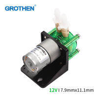 เครื่องปั๊มน้ำขนาดเล็กสำหรับปั๊มรีดท่อปั๊มน้ำ DC 12V,เครื่องปั๊มน้ำไหลแบบมีอัตราการไหลขนาดใหญ่ท่อ BPT ตัวเอง700มิลลิลิตร/นาทีสำหรับการวิเคราะห์หลอดทดลองวทยาศาสตร์ในตู้ปลา