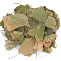 ใบแป๊ะก๊วยแห้งสำหรับต้ม 100 กรัม - authentic dried ginkgo biloba leaves for Herbal tisane 100G