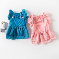 Blue Pet Clothes Korean Fly Sleeve Lace Skirt Teddy Bichon Summer Dress Thin Tow Clothes Puppy Princess Dress Dresses