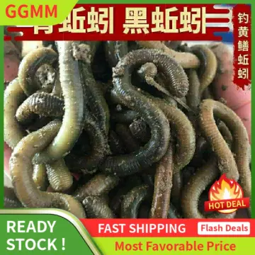 Buy Earthworms Live online