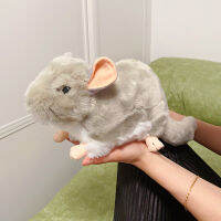 25เซนติเมตรชีวิตจริงไขมัน Chinchillas ตุ๊กตาตุ๊กตาสัตว์ของเล่นนุ่มน่ารัก Chinchilla Lanigera โมลิตุ๊กตาตุ๊กตามิ่งขวัญสำหรับเด็กของขวัญ