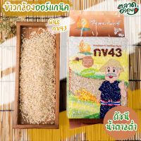 ⚡️?ข้าวกล้อง กข43 แท้ 100% บรรจุ 1 กก. ตราไร่พระจันทร์ moonricefarm ข้าวกล้องกข43 ข้าวกข43 (ดัชนีน้ำตาลต่ำ) ปลูกโดยวิถีธรรมชาติ