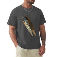 Cicada Bug Photo T-Shirt Blondie T Shirt Tops Sweat Shirts, Men