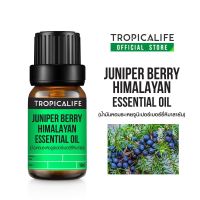 น้ำมันหอมระเหยจูนิเปอร์เบอร์รี่หิมาลายัน ขนาด 10ml (JUNIPER BERRY HIMALAYAN ESSENTIAL OIL)