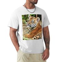 Sumatran Tiger T-Shirt For A Sublime T Shirt Customized T Shirts Plain T-Shirt Sweat Shirts, Men