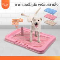 [?โค้ดลดเพิ่ม] PawSociety ห้องน้ำสุนัข 2 ชั้น ถาดรองฉี่สุนัข ฟรี!! เสาเล็ง ถอดออกได้ ถาดฝึกฉี่สุนัข dog toilet pee tray