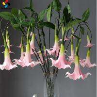 OKDEALS01 พียู PU ดอกไม้ Datura ประดิษฐ์ขนาดใหญ่ อีลาสติก สัมผัสได้จริง ผักบุ้งผักบุ้ง การจำลองแบบจำลอง 83ซม. ค่ะ แต่งงานในงานแต่งงาน