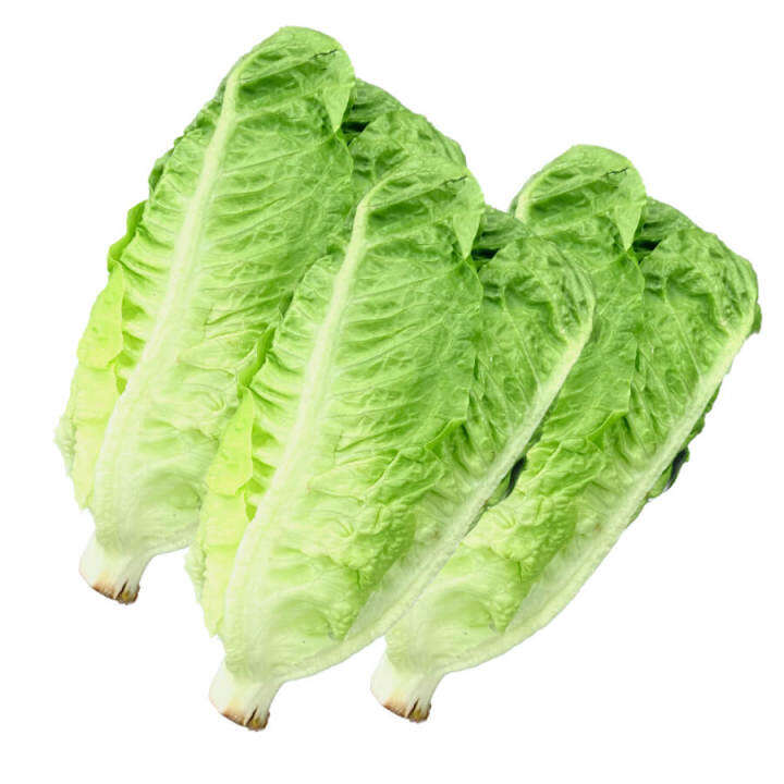 Romaine Lettuce Bundle (500g) Lazada PH