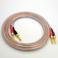 Audio Cable Speaker Cable with Banana Plug of Gold-plated Pure Copper HIFI Sound Quality Oxygen Free Copper Wire