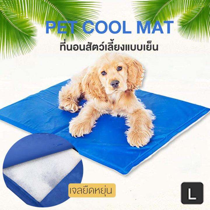 pet-cool-mat-ที่นอนสุนัข-แบบเย็น-ที่นอนแผ่นเจลเย็น-เย็นสบาย-รุ่นหนา90-50-cm-สำหรับสุนัขและแมว-สุนัข-เบาะรองนั่ง-รองนอน-ที่นอนหมา-ที่นอนน้