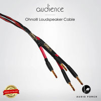 Audience OhnoIII Loudspeaker Cable 3 M