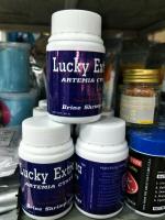 ไข่อาร์ทีเมีย Lucky Lucky