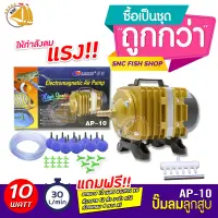 ปั๊มลมลูกสูบ RESUN AP-10 ปั๊มออกซิเจน ปั๊มลม พร้อมอุปกรณ์ชุดสายยางL (size L) *ของแถมอาจมีการเปลี่ยนแปลงสีและรุ่น