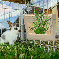 Haosu Guinea Pig Feeder ง่ายต่อการถอดแยกชิ้นส่วนชั้นวางหญ้าหนาทนทานรูใหญ่ติดทนนานวัสดุธรรมชาติทนต่อการกัดง่ายต่อการติดตั้ง Pet Hay Feeder สำหรับสัตว์เลี้ยงหญ้าแห้งไม้ที่มีประโยชน์