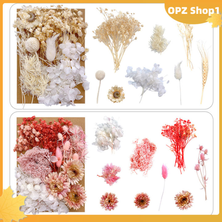 opz-ดอกไม้แห้งกดดอกไม้แห้ง1ถุงสำหรับเคสโทรศัพท์-diy-บรรจุอีพอกซีเรซินงานศิลปะสำหรับตกแต่งเล็บงานฝีมือทำเครื่องประดับจี้