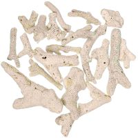 【LZ】☍▥  Coral Bone Fish Tank Stone acessórios de paisagem decoração do material do filtro do aquário 3 -10cm 500g