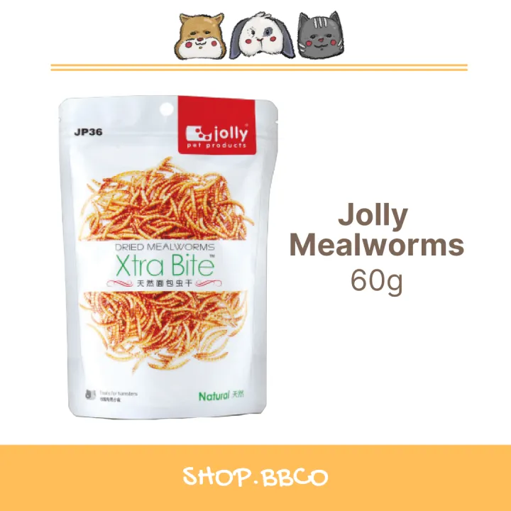 Jolly Dried Mealworm for Hamsters, Birds and Reptiles 60g Lazada PH