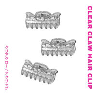 RAY clear claw hair clip