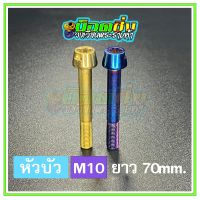 น็อตสแตนเลส หัวบัว ขนาดเกลียว m10 ยาว 70 mm.