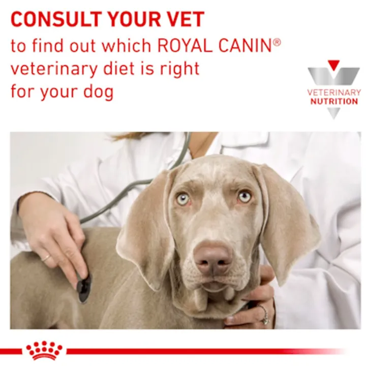 หมดอายุ1-25-royal-canin-vet-diabetic-can-อาหารเปียกแบบกระป๋องสำหรับสุนัข-12-กระป๋อง