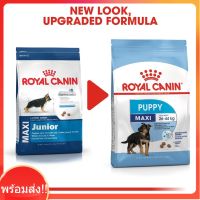 Royal canin Maxi puppy 10kg ลูกสุนัขพันธุ์ใหญ่ อายุ 2-15เดือน