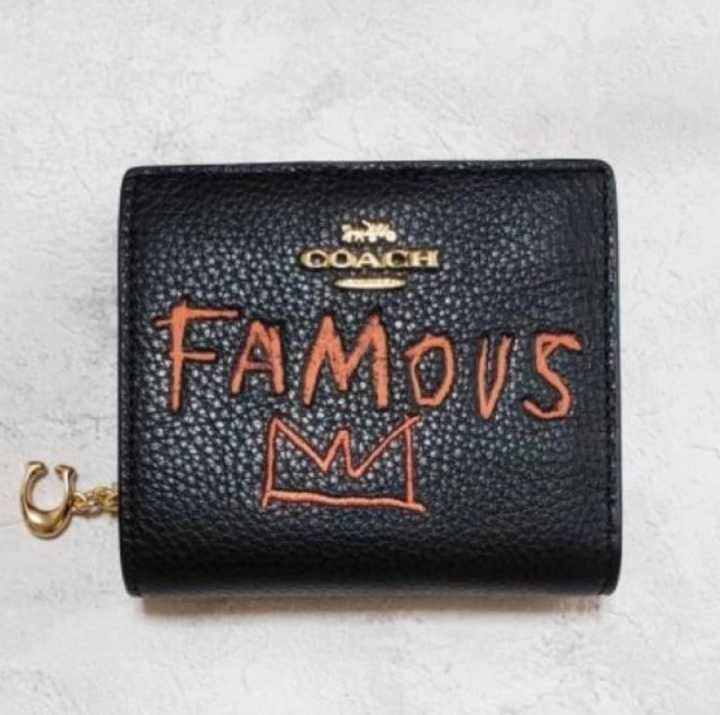 Coach x Jean Michel Basquiat Mini Skinny ID Case Keychain