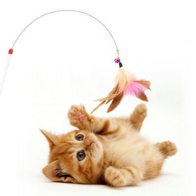 ของเล่นแมว ไม้ตกแมวขนนก แบบลวดงอได้เล่นสำหรับแมวฝึกทักษะ ในการกระโดดและเคลื่อนไหว