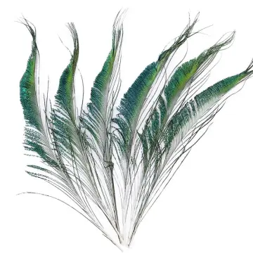 Wholesale 10Pcs/Lot Natural Peacock Feathers for DIY Craft Wedding