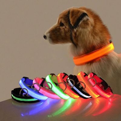 [pets baby] ปลอกคอสุนัขที่ชาร์จ USB เรืองแสง LED สินค้าเกี่ยวกับสัตว์เลี้ยงประเภทปลอกคอเรืองแสงเพื่อความปลอดภัยกระพริบในที่มืด