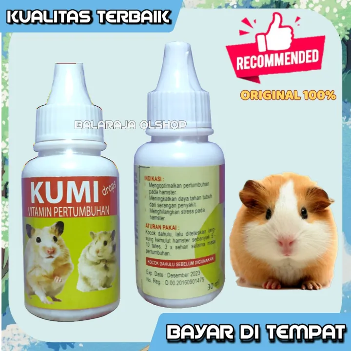 Live Sex Cams Hamster - VITAMIN PERTUMBUHAN DAN PENAMBAH NAFSU MAKAN HAMSTER MARMUT KELINCI KUMI |  Lazada Indonesia