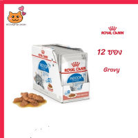 ?ส่งฟรี ส่งด่วนๆๆๆ[ยกกล่อง 12 ซอง] Royal Canin Indoor 7+ Pouch Gravy อาหารเปียกแมวสูงวัย เลี้ยงในบ้านและทำหมัน อายุ 7 ปีขึ้นไป  จัดส่งฟรี ✨