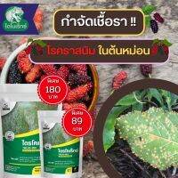 กำจัดเชื้อรา สาเหตุของโรคราสนิม ในต้นหม่อน ไตรโคเดอร์มา ไตรโคเร็กซ์ ปลอดภัยต่อคนและสัตว์เลี้ยง 100%